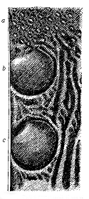 Fig. 59.