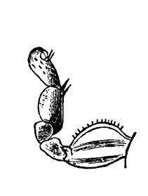 Fig. 6. Fig.