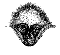 Fig. 73.