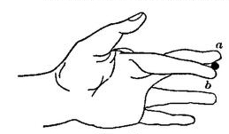 Fig. 48.