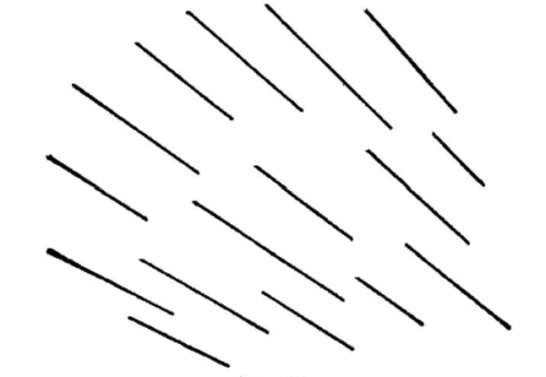 Fig. 50.