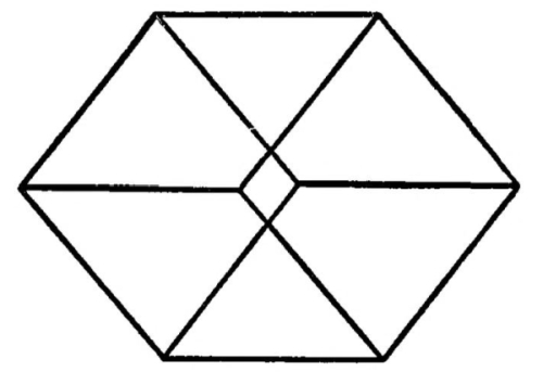 Fig. 76.