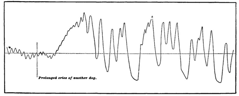 Fig. 81.