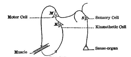 Fig. 87.
