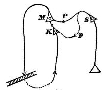 Fig. 88.