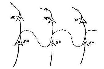 Fig. 89.