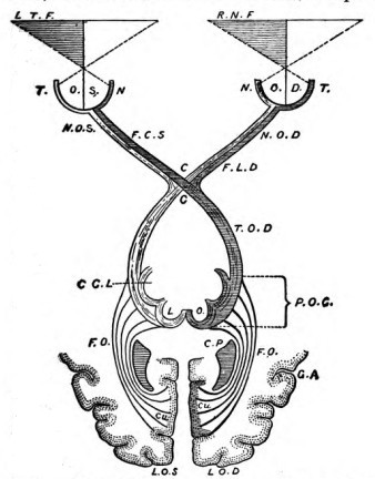 Fig. 15.
