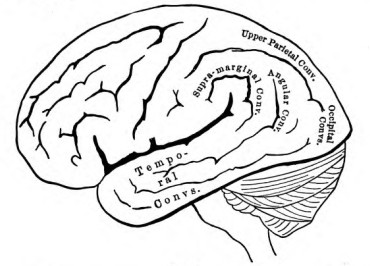Fig. 17.
