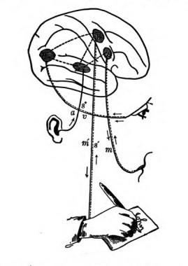 Fig. 18.