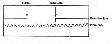 Fig. 21. Dog's motor centres, right hemisphere, according to Paneth.—The points of the motor region are correlated as follows with muscles: the _loops_ with the _orbicularis palpebrarum_; the _plain crosses_ with the _flexor_, the _crosses inscribed in circles_ with the _extensor, digitorum communis_ of the fore-paw; the _plain circles_ with the _abductor pollicis longus_; the _double crosses_ with the _extensor communis_ of the hind-limb.