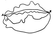 Fig. 28.