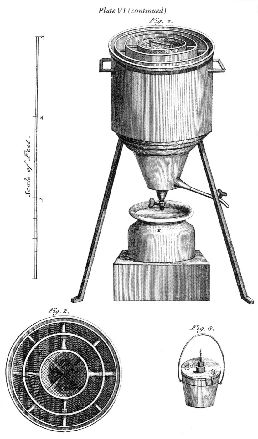 Plate VI (continued)