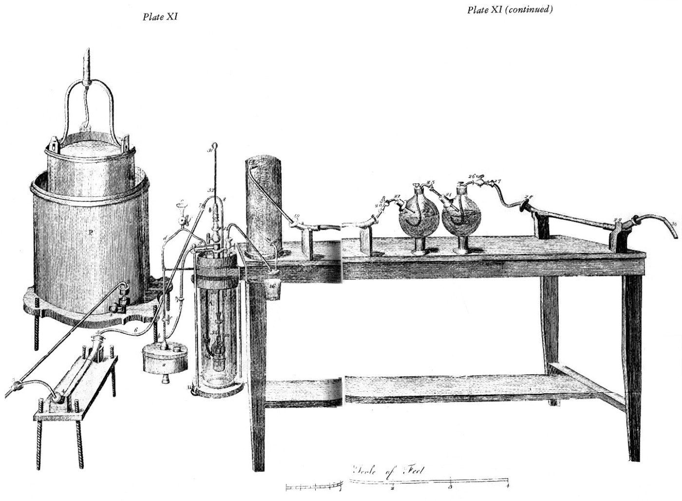 Plate XI